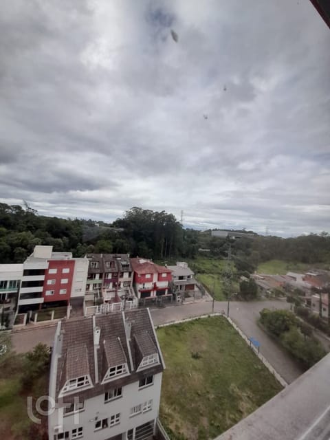 Image 12 - 273504